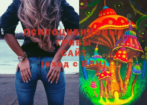 дживик Алексеевка