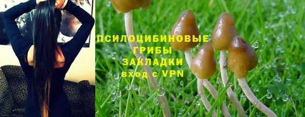 jwh Алзамай